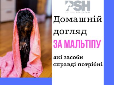 Домашній догляд за мальтіпу: проста, турботлива й справді ефективна схема