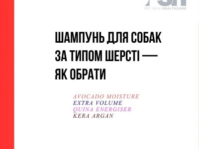 Шампунь для собак за типом шерсті — як обрати | PSH
