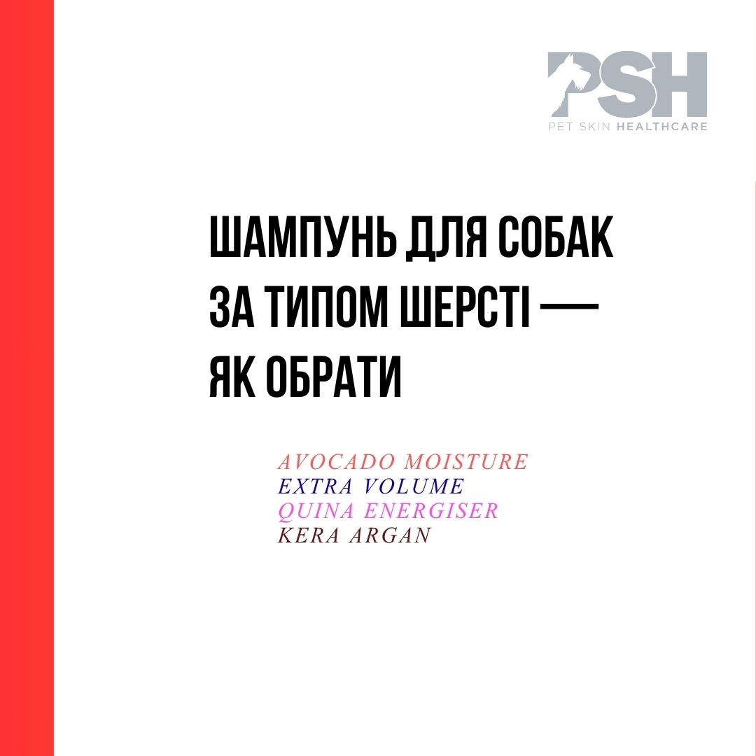 Шампунь для собак за типом шерсті — як обрати | PSH