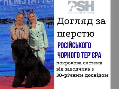 Догляд за шерстю Російського чорного тер'єра: покрокова система від заводчика з 30-річним досвідом
