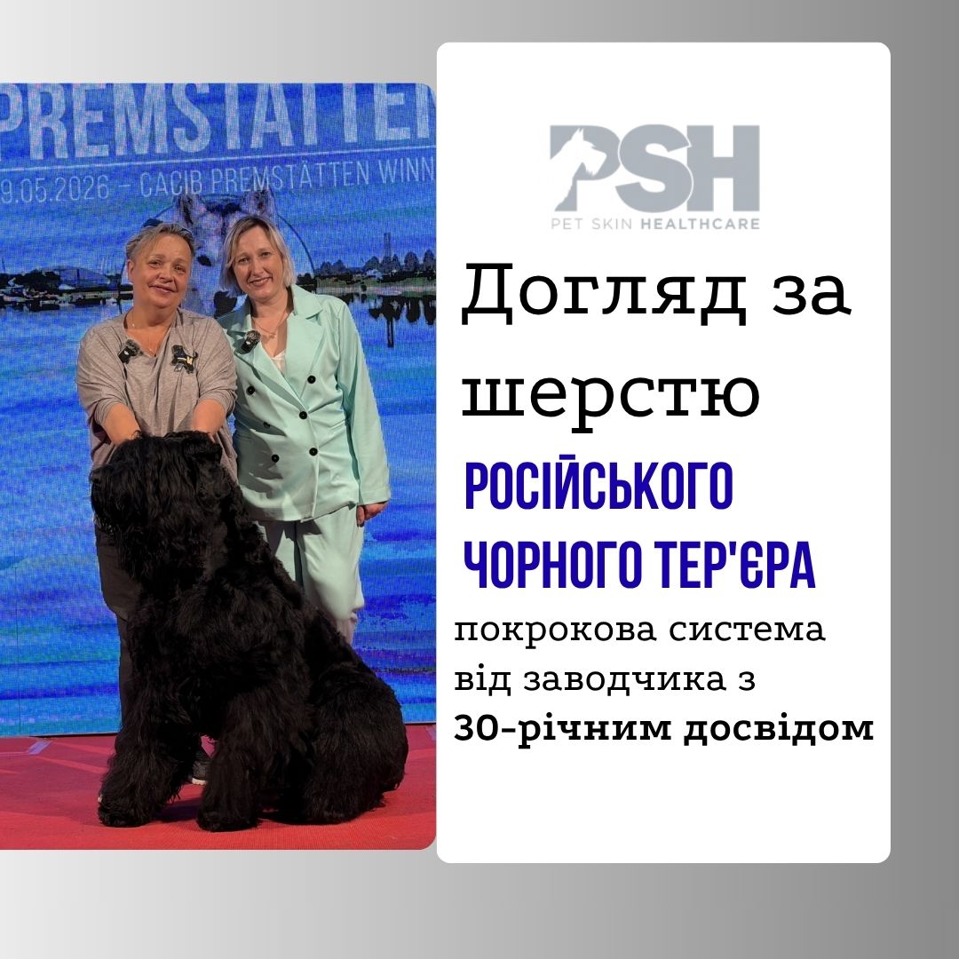 Догляд за шерстю Російського чорного тер'єра: покрокова система від заводчика з 30-річним досвідом