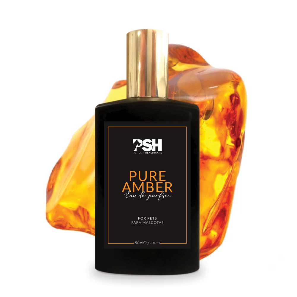 Парфумована вода Pure Amber PSH 50 ml Парфумована вода для собак Pure Amber Eau de Parfum PSH 50 ml